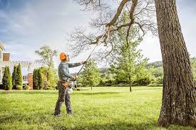 Best Aeration Services  in Lake Geneva, WI