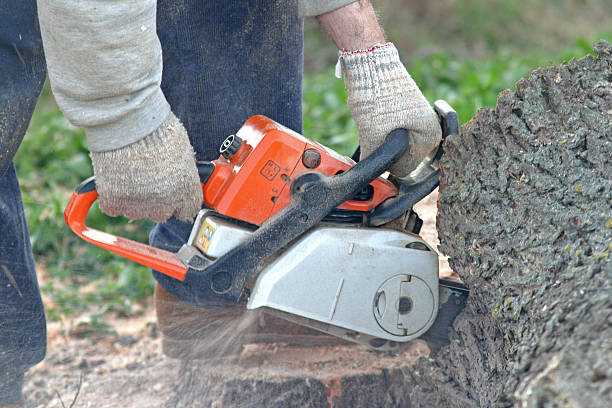 Lawn Edging in Lake Geneva, WI
